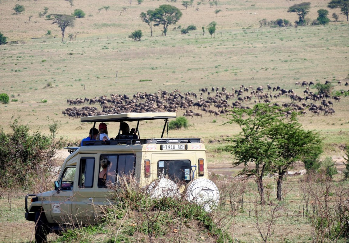 Game Drives