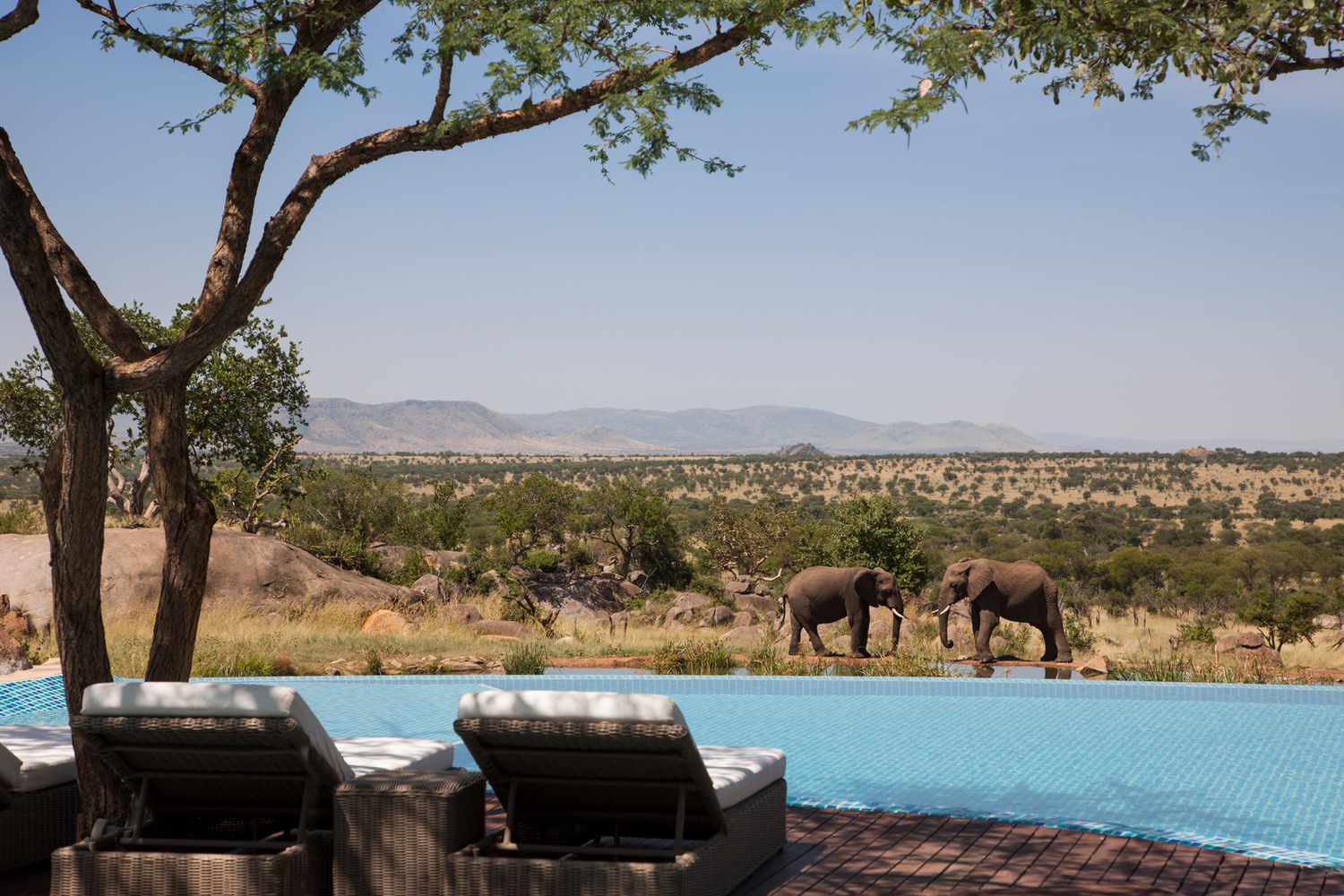 Luxury Safaris