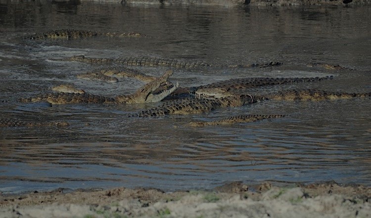 Katavi National Park