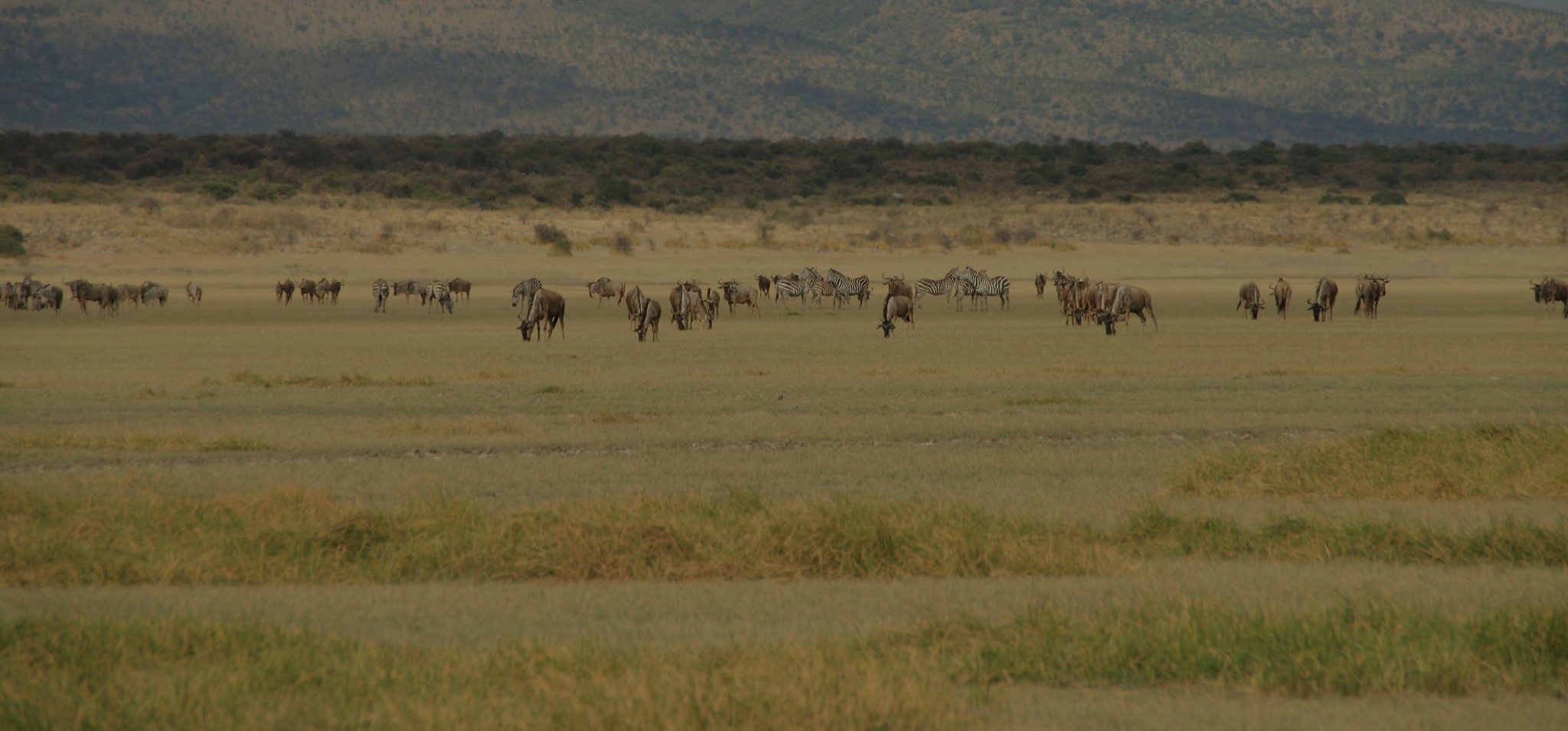 Lake Manyara National Park