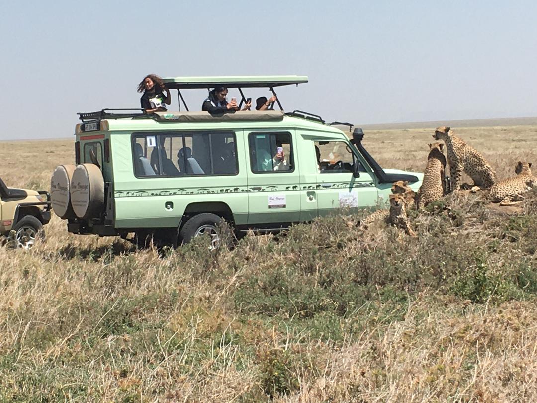 5 Days Tanzania (Short Family Safari)